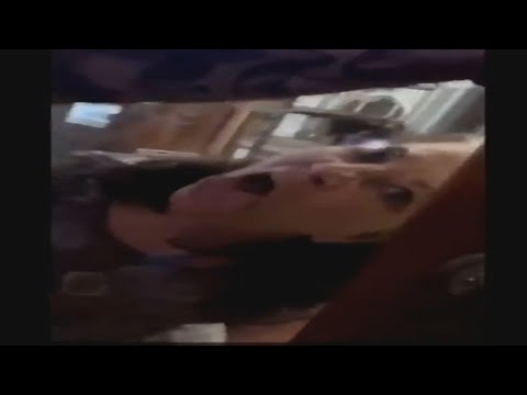 The Most Aggressive Karens