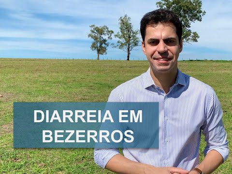 , title : 'O QUE FAZER EM CASO DE DIARREIA EM BEZERROS?'