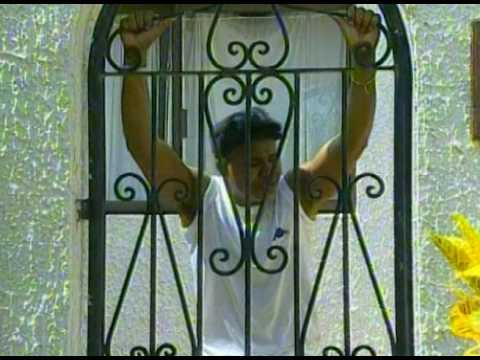 Haylton Dias - Adios te digo