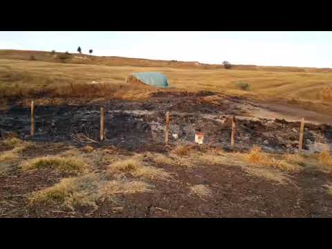 Au luat foc baloți de furaje, din apropierea unei stâni de la Podu Oprii!