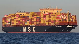 MSC ISCHIA '2025 Container Ship diesel/LNG 368m - Trieste 29/12/2025 09:00