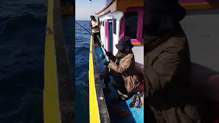 Download lagu Emak emak strike ikan pogo part 2 di spot Lakara mp3 Download lagu Emak emak strike ikan pogo part 2 di spot Lakara mp3