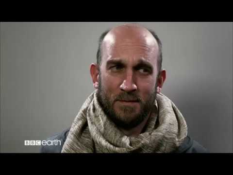 The Science of Laughter - BBC Player