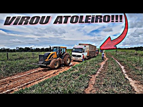 The rescue of the cattle herders in the mud...070/23