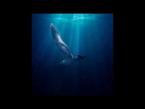 Eytan x İmpala x Ceren Kaan - Her Seferinde (Official Audio)