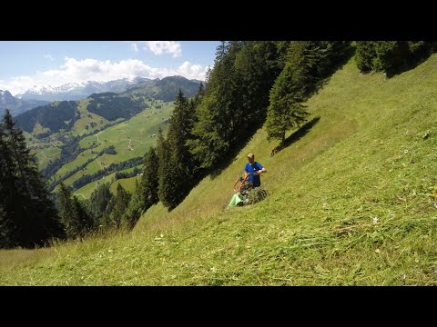 Wildheuen mit Rapid Rex Einachser in Nidwalden