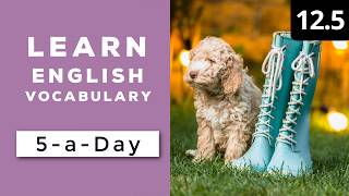 Learn English Vocabulary Daily #12.5 - British English Podcast