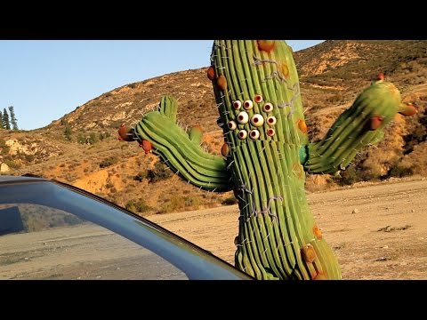 Previously on The Aquabats! Super Show! - Night of the Cactus!