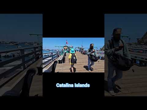 July 2025 #catalinaisland #islandvalleyofavalon