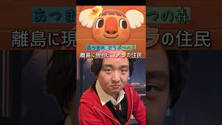 【切り抜き】あつ森 離島に現れたコアラの住民 #Shorts