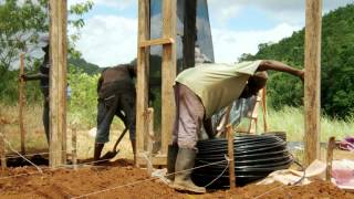 Greenhouse Farming in St. Ann, Jamaica