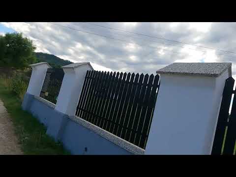 Întoarcerea din  Cacica pe forestierul spre Humor.