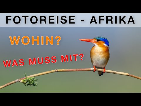 Reisevorbereitungen für Fotosafari mit Marco Bügel - Ankündigung & Erwartungen