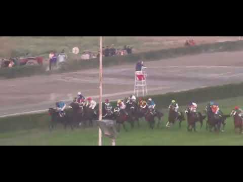 Pakistan Derby Lake City One 2025 Winner Sardar | Ridden By Jockey Amir Pervaiz Trained By Tauqeer |