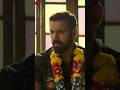 ZarooratSeZyada Vedaa JohnAbraham Tamannaah ArijitSingh AmaalMallik KunaalVermaa Shorts