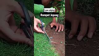 Download lagu Cara Merawat Rumput Jepang || Zoysia Grass Lawn Edging #lawncare #lawnedging #rumputjepang #shorts mp3