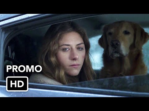 In the Dark 3.04 (Preview)