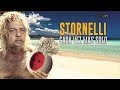 ¿Cómo Sigue El Escándalo Stornelli Después De La Postergación?