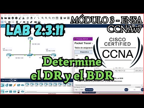 2.3.11 Packet tracer - Determine el DR y el BDR (Resolucion)