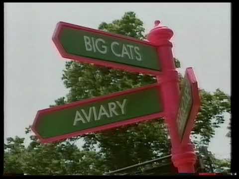 Film 96 Location Report - Fierce Creatures