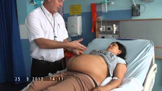 How to Perform Obstetric Palpation for OSCE's