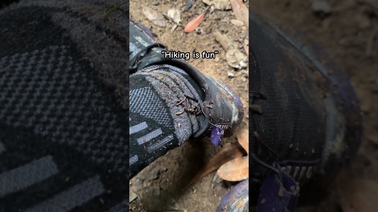 TRUTH of hiking! #hiking #hike #australia