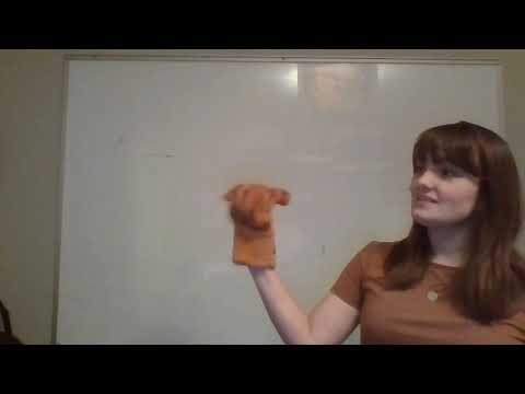 Kookaburra rhythm practice