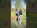 Ladki Deewani Sunny Leone Shorts Ytshorts Govindsnehu Bollywood Trendingshorts Reels