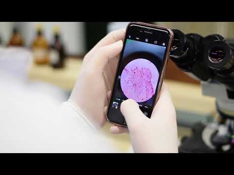 Biotecnologia: a inovação está no nosso DNA