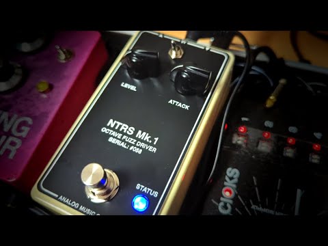 NOTORIOUS RABBIT DEMO BY PEDALS AND TEA thumbnail