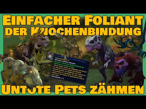 Simple Folio of Bone Binding | Guide