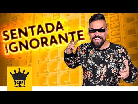 Sentada Ignorante - Mc Dig - Música Nova (Tops da Arrochadeira)