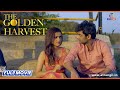 The Golden Harvest Short Film द गोल्डन हार्वेस्ट Paras Arora Atrangi