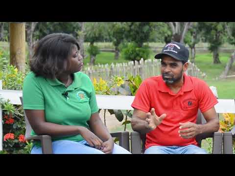 Recorrido Haras RD, série 1/6 - Rancho San Antonio - Dos Damas na Hípica.