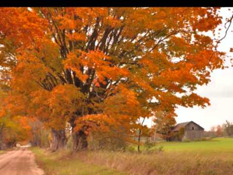 Relax to the Bible - Psalm 5