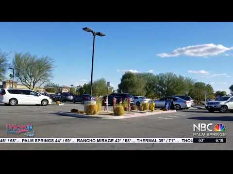 Dutch Bros Spring Stuebner