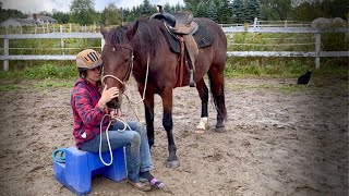 My First Riding Accident with my Mustang…