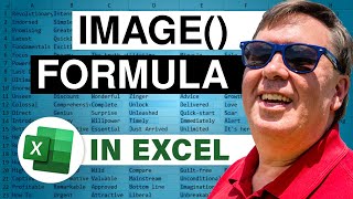 Exploring Excel IMAGE Function - 2500
