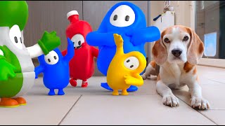 Animations in REAL LIFE vs PUPPY : FALL GUYS