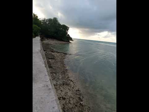 Nei Meme by Tauty_ft_HolyMount