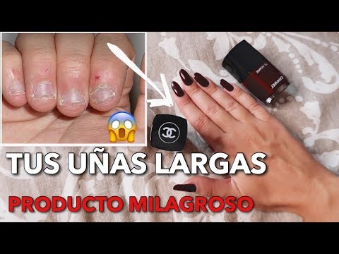PRODUCTO MILAGROSO para tener UÑAS LARGAS y ESMALTE DURADERO + Vivadogs (Bstyle)