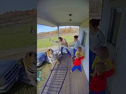 Este Padre merece el Cielo 😱