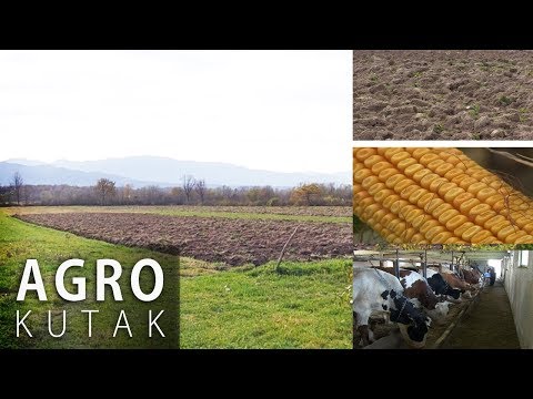 Agro kutak - Teška godina za poljoprivrednike - 28.11.2017.