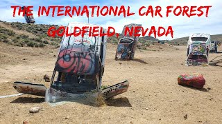 THE INTERNATIONAL CAR FOREST GOLDFIELD, NEVADA