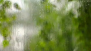Download lagu Rain on Window with Binaural Beats: Delta Waves of 3Hz mp3 Download lagu Rain on Window with Binaural Beats: Delta Waves of 3Hz mp3