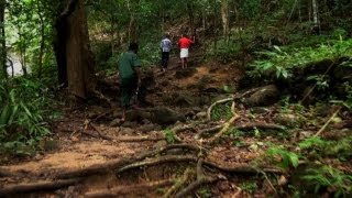 Trekking to Meenmutty Waterfalls, Thiruvananthapuram 