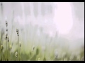 INIS OÍRR (INISHEER). Trad. Arr. Beth Kolle. Adap. Athy. RECORDED IN 2003!