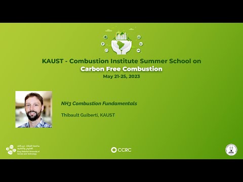 Thibault Guiberti: NH3 (Ammonia) combustion fundamentals
