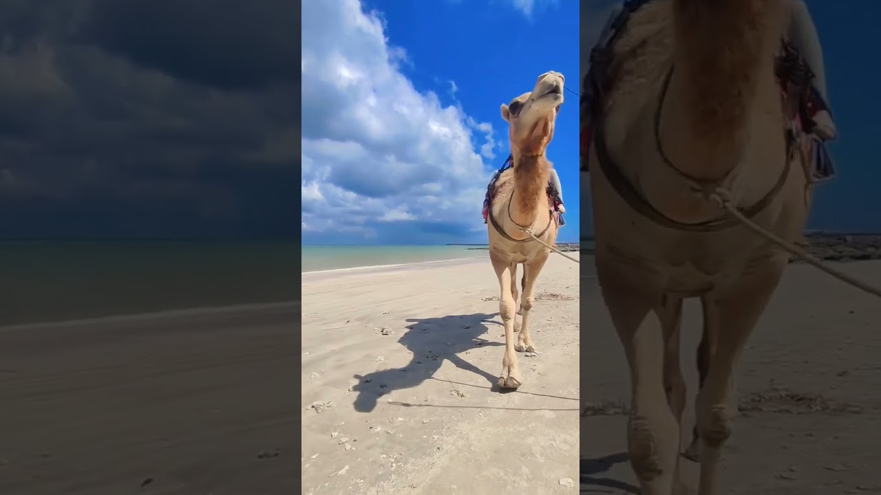 YouTube Short thumbnail