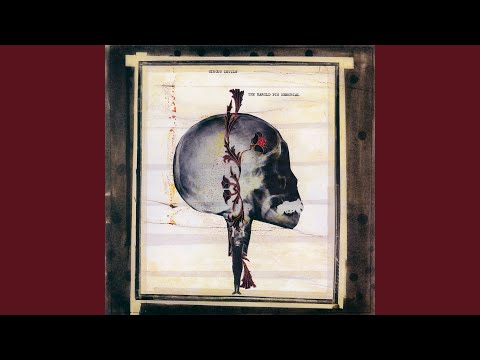 Bull Spears - Circus Devils